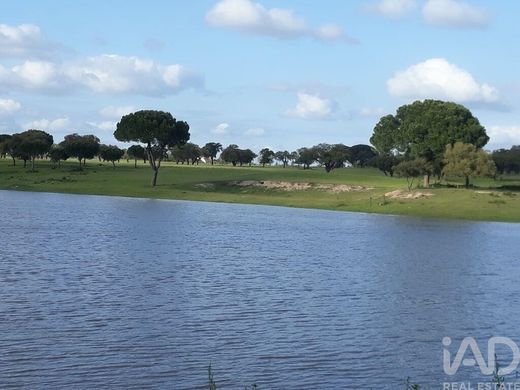 Grond in Palmela, Distrito de Setúbal
