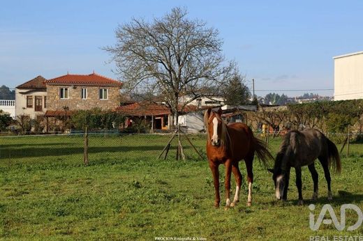 Farm in Cucujães, Oliveira de Azeméis