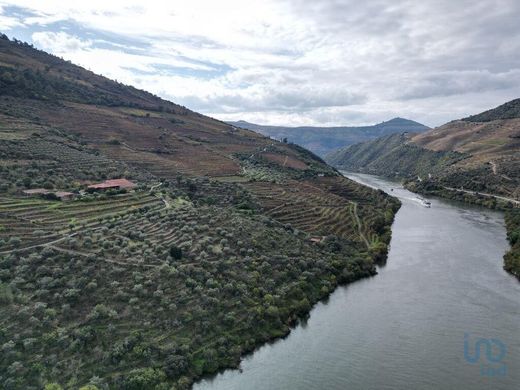 Элитный дом, Ervedosa do Douro, São João da Pesqueira