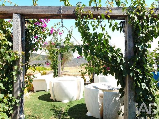 Luxury home in Abrantes, Distrito de Santarém