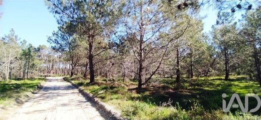 Grundstück in Vila do Bispo e Raposeira, Vila do Bispo