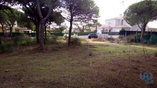 Land in Além, Algarve