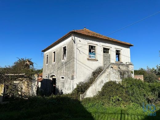 Участок, Calvária de Cima, Porto de Mós