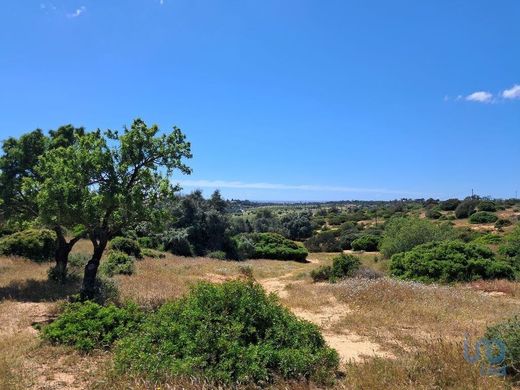 Land in Porches, Lagoa