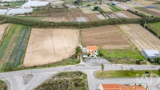 Luxury home in Atouguia da Baleia, Peniche