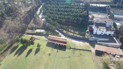 Boerderij in Tondela, Distrito de Viseu