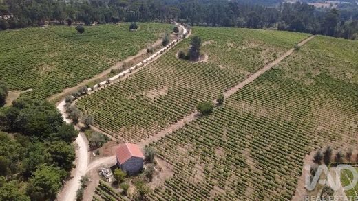 Farm in Carvalhal Redondo, Nelas