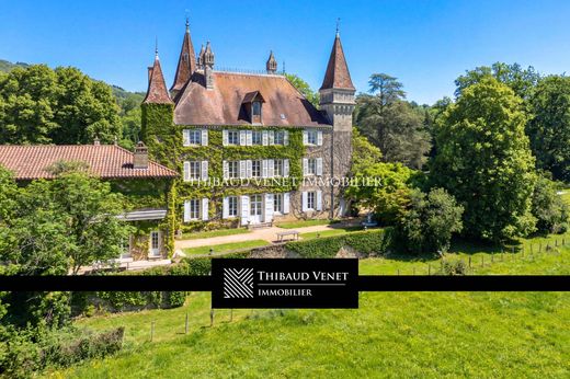 Castle in Bourg-en-Bresse, Ain