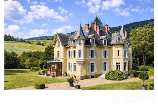 Castle in Saint-Julien-Molin-Molette, Loire