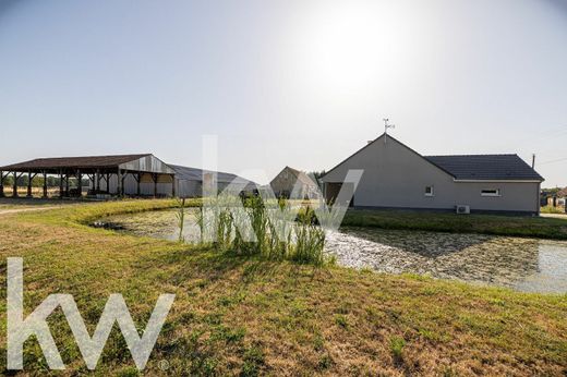 Lüks ev Saint-Denis-de-l'Hôtel, Loiret