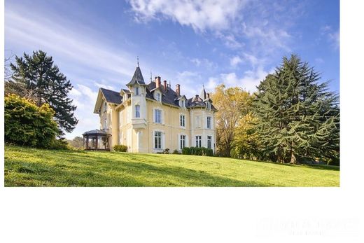 Castle in Saint-Julien-Molin-Molette, Loire