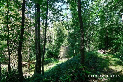 Luxus-Haus in Altkirch, Haut-Rhin
