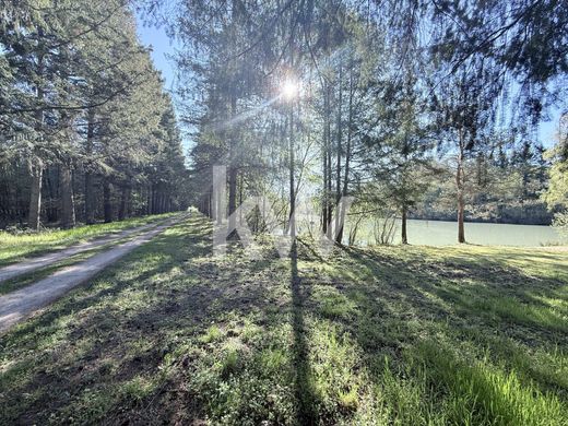 Luxury home in Vernou-en-Sologne, Loir-et-Cher