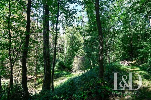 Luxe woning in Altkirch, Haut-Rhin