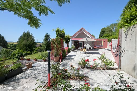 Luxury home in Altkirch, Haut-Rhin