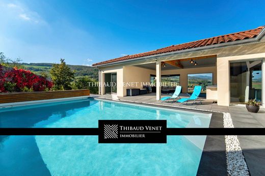 Элитный дом, Theizé, Rhône