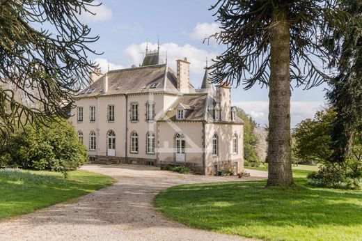 Castle in Saint-Pierre-des-Landes, Mayenne