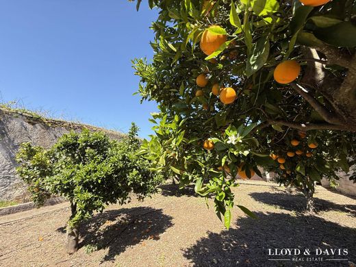 Luxury home in Silves, Distrito de Faro