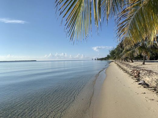 Land in Placencia, Stann Creek District