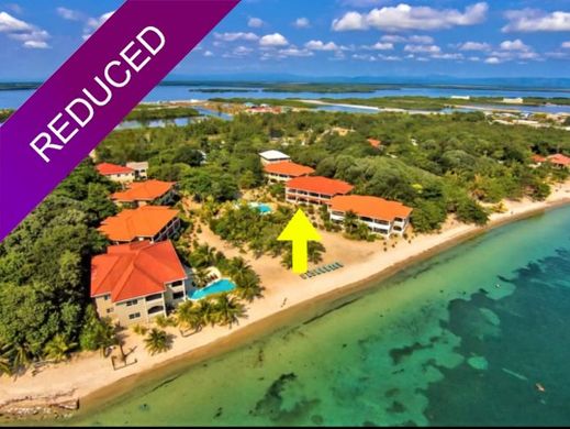 Luxury home in Placencia, Stann Creek District