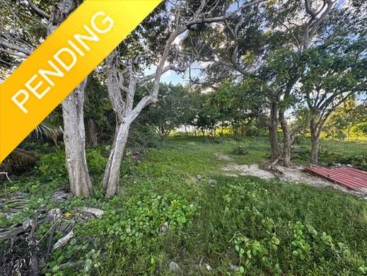 Teren w Placencia, Stann Creek District
