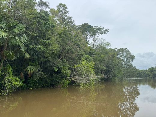 Punta Gorda, Toledo Districtの土地