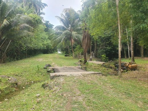 Teren w Burrell Boom, Belize District