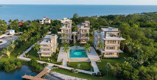 Элитный дом, Placencia, Stann Creek District