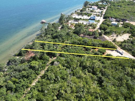 地皮  Placencia, Stann Creek District