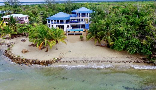 Элитный дом, Placencia, Stann Creek District