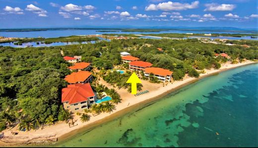 Maison de luxe à Placencia, Stann Creek District