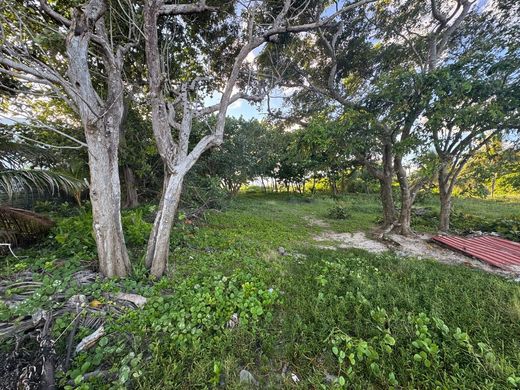 Grundstück in Placencia, Stann Creek District