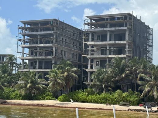 Πολυτελή κατοικία σε San Pedro, Belize District