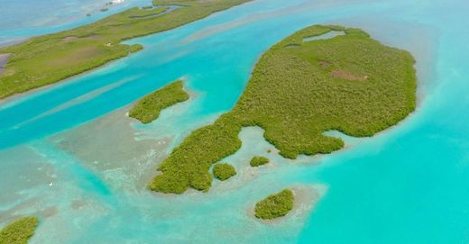 Land in Belize City, Belize District