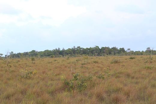 Independence and Mango Creek, Stann Creek Districtの土地