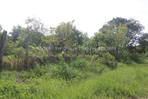 Land in Independence and Mango Creek, Stann Creek District