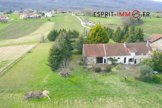 Luxury home in Corbonod, Ain