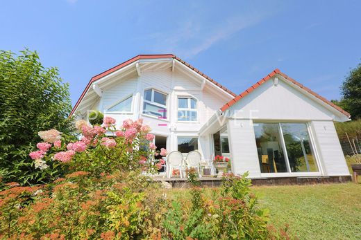 豪宅  Gérardmer, Vosges