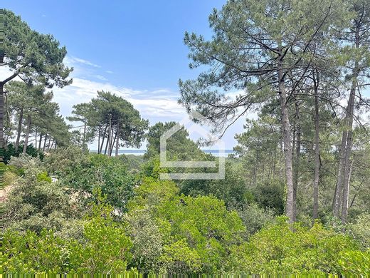 Luxury home in Lacanau, Gironde