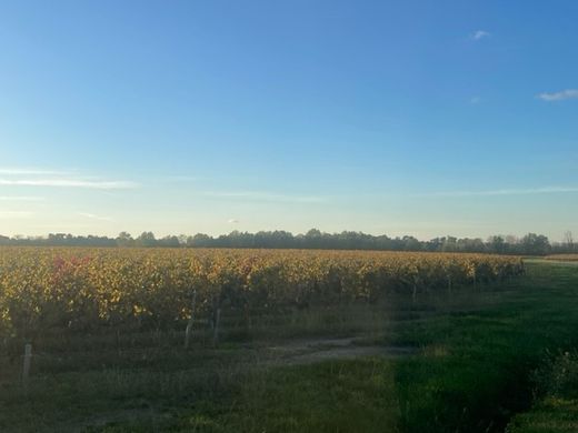 Arsa Les Artigues-de-Lussac, Gironde