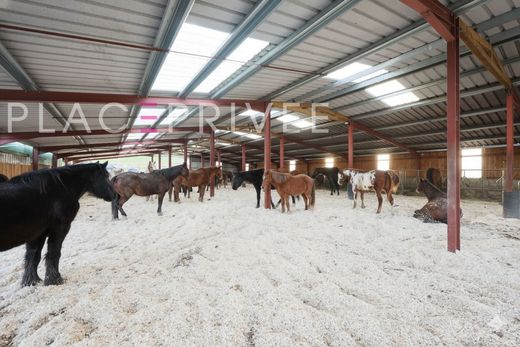 ﻣﻨﺰﻝ ﺭﻳﻔﻲ/ ﺑﻴﺖ ﻤﺰﺭﻋﺔ ﻓﻲ Gemaingoutte, Vosges