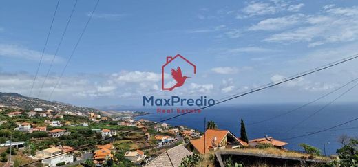 Arsa Santa Cruz, Madeira