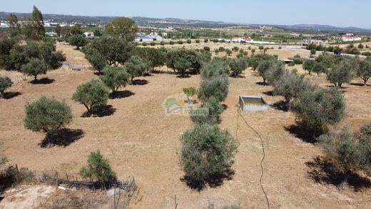 Land in Reguengos de Monsaraz, Distrito de Évora