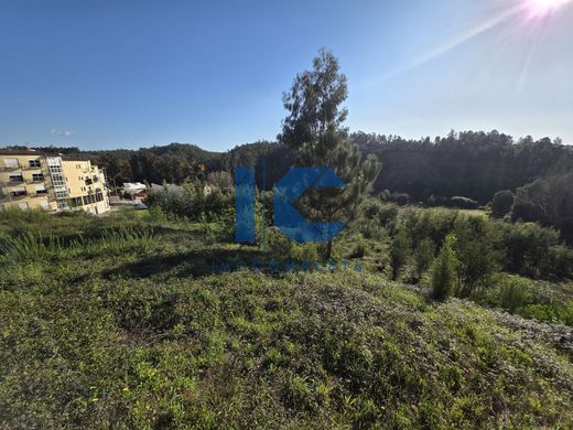 Terrain à Águeda, Distrito de Aveiro