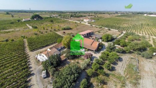 Ρουστίκ ή Αγροικίες σε Palmela, Distrito de Setúbal