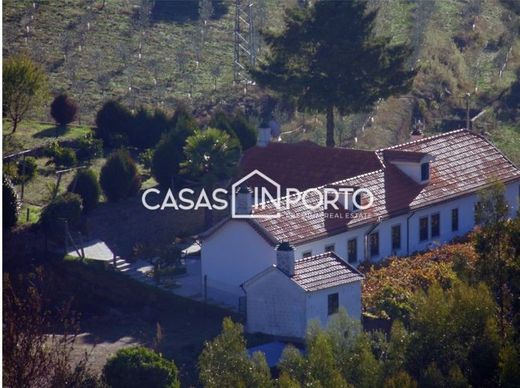 Rural or Farmhouse in Baião, Distrito do Porto