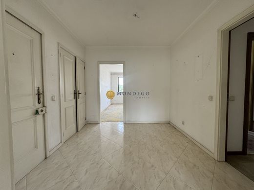 Apartamento - Coimbra