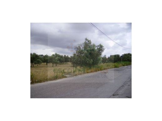 Terreno en Palmela, Setúbal