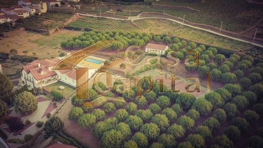 Landhaus / Bauernhof in São João da Pesqueira, Distrito de Viseu