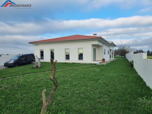 Casa de luxo - Aveiro